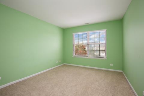 62 Meadows Dr, Gilberts, IL 60136 photo 12