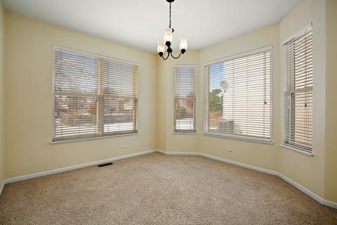 62 Meadows Dr, Gilberts, IL 60136 photo 4