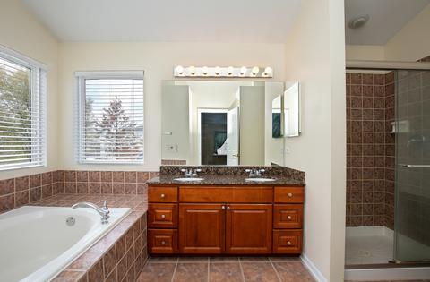 62 Meadows Dr, Gilberts, IL 60136 photo 11