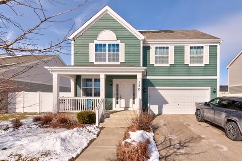 350 Snow Drop Ln, Elgin, IL 60124 photo 1