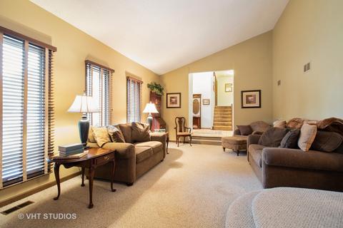 131 Graymoor Ln, Olympia Fields, IL 60461 photo 4