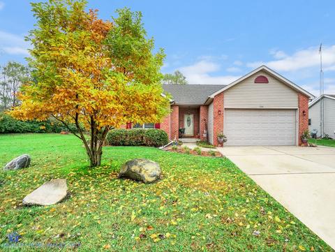 306 Koca Dr, Braidwood, IL 60408 photo 1
