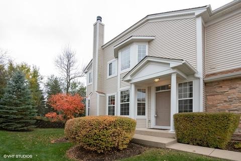 41 Kelsey Ct, Algonquin, IL 60102 photo 3