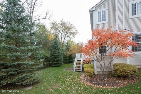 41 Kelsey Ct, Algonquin, IL 60102 photo 22