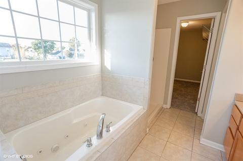 116 Diversatech Dr, Manteno, IL 60950 photo 19