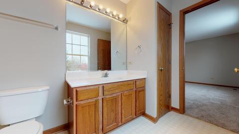 1514 Brookfield Dr, Plainfield, IL 60586 photo 17
