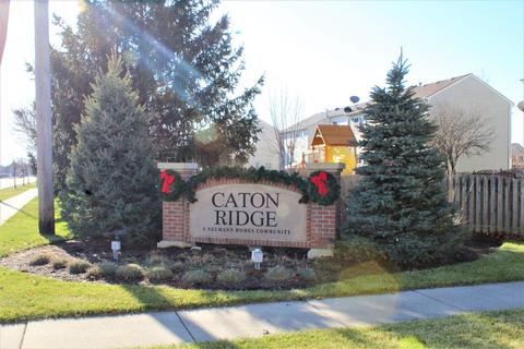 2202 Cherry Ridge Dr, Plainfield, IL 60586 photo 38