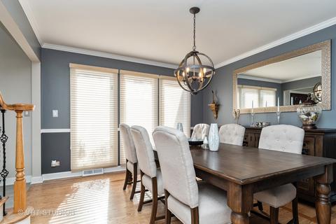 1165 Ancient Oaks Ct, Bartlett, IL 60103 photo 9