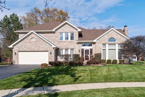 1165 Ancient Oaks Ct, Bartlett, IL 60103 photo 1