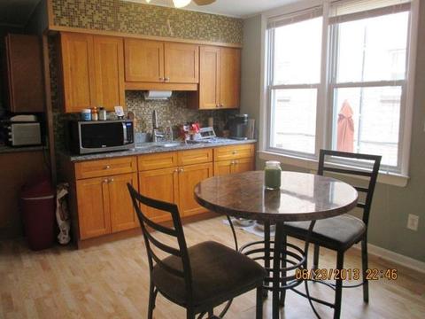 2829 S Lowe Ave, Chicago, IL 60616 photo 3