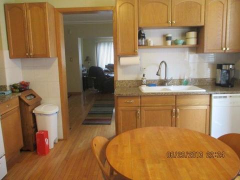 2829 S Lowe Ave, Chicago, IL 60616 photo 2