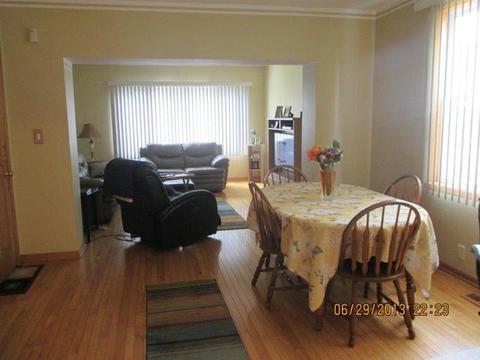 2829 S Lowe Ave, Chicago, IL 60616 photo 7