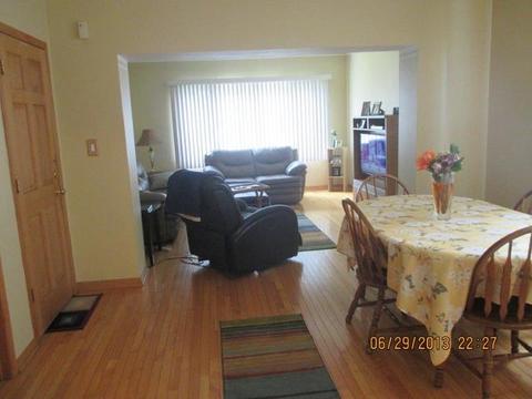 2829 S Lowe Ave, Chicago, IL 60616 photo 5