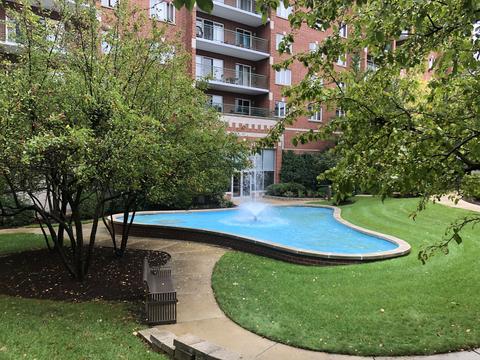 675 Pearson St #302, Des Plaines, IL 60016 photo 16