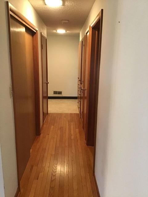 503 Paddock Ave, Ashton, IL 61006 photo 12