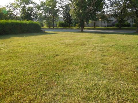3604 Briar Ln, Hazel Crest, IL 60429 photo 6