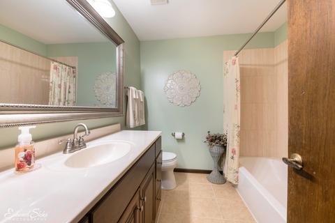 4231 N Sturbridge Dr, Hoffman Estates, IL 60192 photo 19