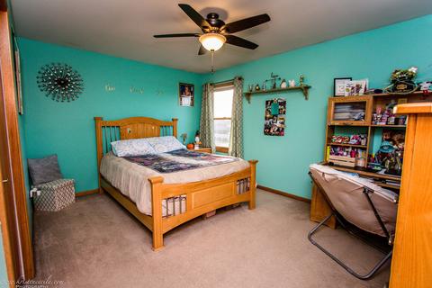 501 Maytree Ln, Peotone, IL 60468 photo 29