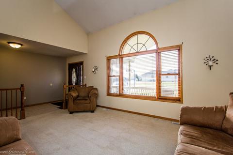501 Maytree Ln, Peotone, IL 60468 photo 14