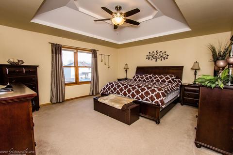 501 Maytree Ln, Peotone, IL 60468 photo 25
