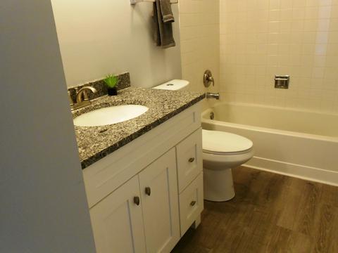 539 Foster Ave, Bartlett, IL 60103 photo 25