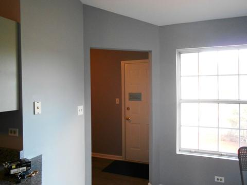 539 Foster Ave, Bartlett, IL 60103 photo 13