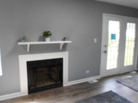 539 Foster Ave, Bartlett, IL 60103 photo 6