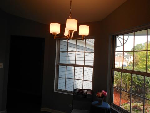 539 Foster Ave, Bartlett, IL 60103 photo 27