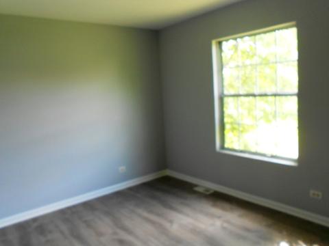 539 Foster Ave, Bartlett, IL 60103 photo 23