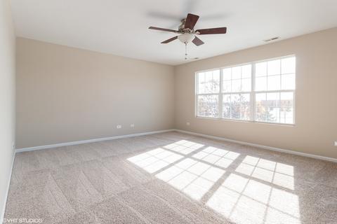 13020 Conifer St, Plainfield, IL 60585 photo 12