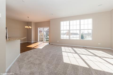 13020 Conifer St, Plainfield, IL 60585 photo 3