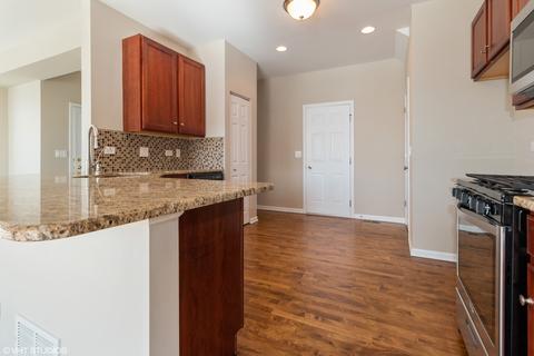 13020 Conifer St, Plainfield, IL 60585 photo 7
