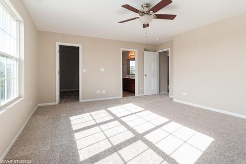 13020 Conifer St, Plainfield, IL 60585 photo 13