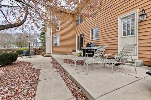 246 Big Terra Ln, Gurnee, IL 60031 photo 34