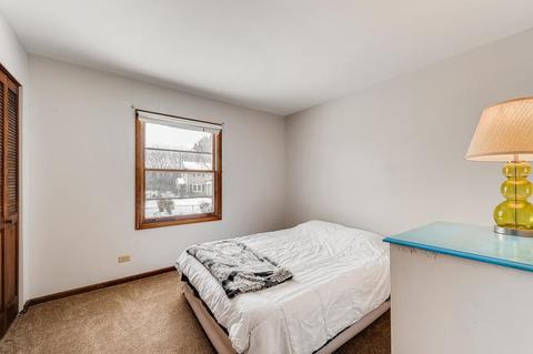 725 Birch St, Algonquin, IL 60102 photo 19