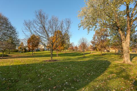 1125 Downing Dr, Hoffman Estates, IL 60192 photo 19