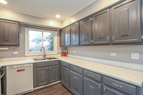1125 Downing Dr, Hoffman Estates, IL 60192 photo 8