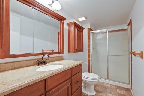4129 Crimson Dr, Hoffman Estates, IL 60192 photo 18