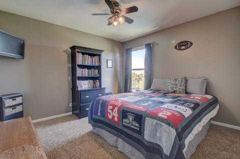 227 Butler Dr, Bartlett, IL 60103 photo 23