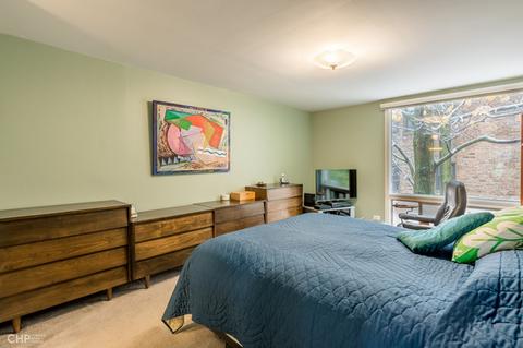 1349 E Park Pl, Chicago, IL 60637 photo 12