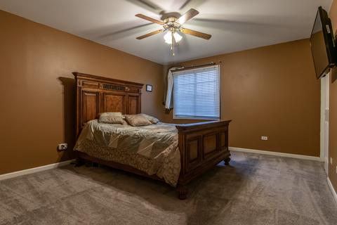 23129 Judith Ct, Plainfield, IL 60586 photo 23