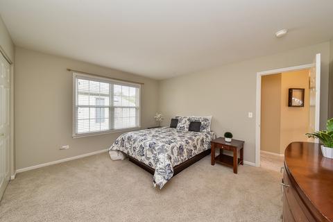 422 Pond View Ln, Bartlett, IL 60103 photo 16