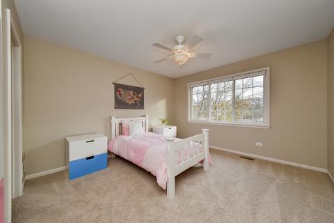 422 Pond View Ln, Bartlett, IL 60103 photo 17