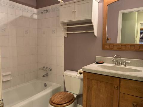 1653 Valley Forge Ct #A, Wheaton, IL 60189 photo 13