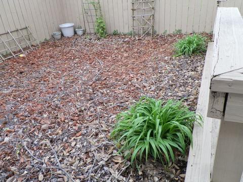 508 N Fair St, Champaign, IL 61821 photo 17