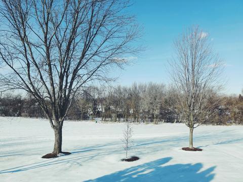 792 Orchid Ln, Bartlett, IL 60103 photo 21