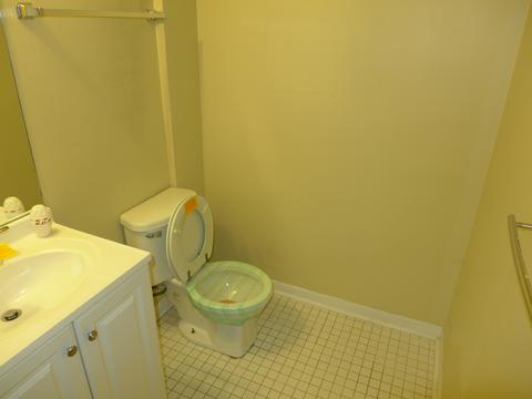 812 Maple Ln, Wheeling, IL 60090 photo 12