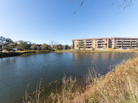 5408 Chateau Dr #4, Rolling Meadows, IL 60008 photo 3
