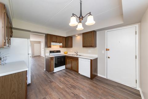 5408 Chateau Dr #4, Rolling Meadows, IL 60008 photo 9