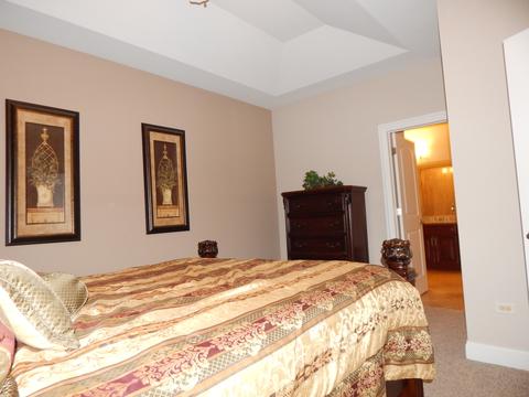 12706 Wild Rye Ct, Plainfield, IL 60585 photo 14